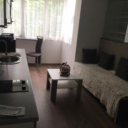 Apartment In The Center Of The Old City, Budzak 14 Szarajevó Kültér fotó