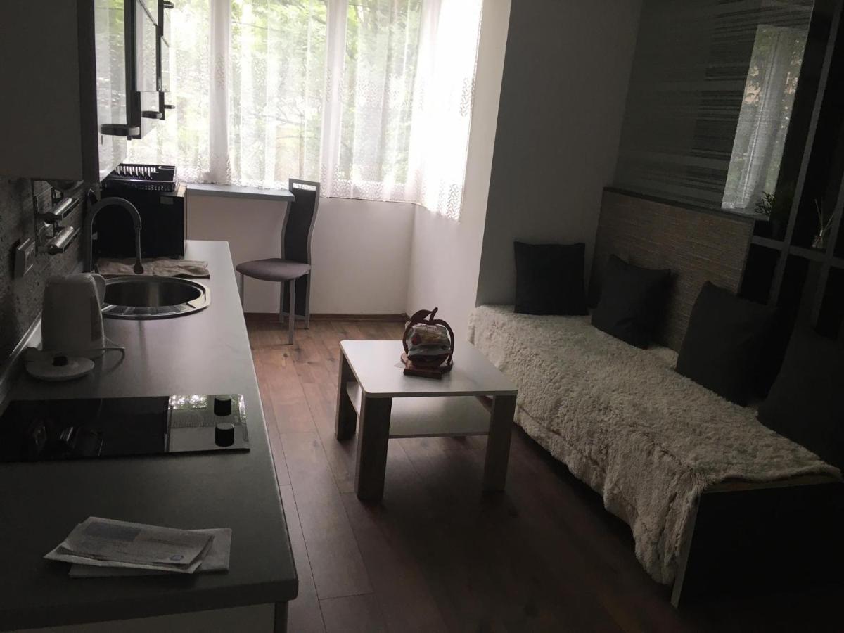 Apartment In The Center Of The Old City, Budzak 14 Szarajevó Kültér fotó